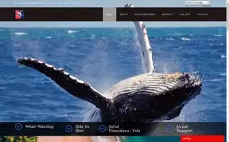 Royaltoursmirissa.com Screenshot 2024-04-27 03:49:56