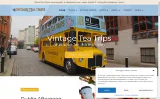 Vintageteatrips.ie Screenshot 2024-04-17 11:55:05