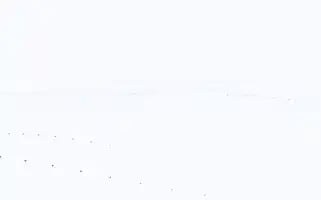 Talepteklif.com Screenshot 2024-07-08 10:41:20