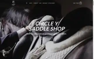 Circleybrand.com Screenshot 2024-05-22 21:37:21