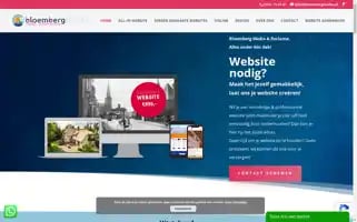 Bloembergmedia.nl Screenshot 2024-06-17 01:29:34