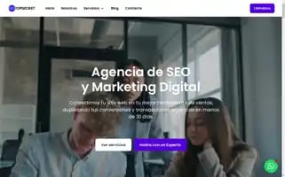 Seotopsecret.com Screenshot 2024-06-30 12:47:46