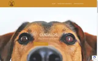 Chihuahuastoresv.com Screenshot 2024-05-19 10:47:32
