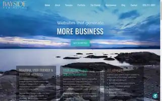 Baysidewebdesign.com Screenshot 2024-07-01 03:17:53