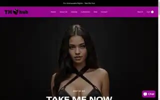 Takemehub.com Screenshot 2024-05-02 04:48:39