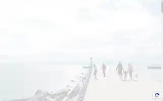 Visitoakville.com Screenshot 2024-06-18 16:00:58