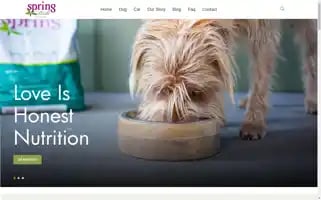 Springnaturals.com Screenshot 2024-05-04 23:40:00