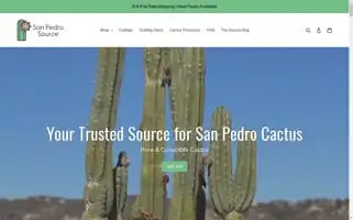 Sanpedrosource.com Screenshot 2024-04-17 10:15:58
