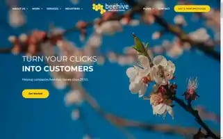 Beehivews.com Screenshot 2024-06-14 02:30:18
