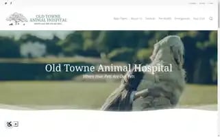 Oldtowneah.com Screenshot 2024-07-03 20:04:12
