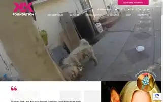 Thekriskellyfoundation.org Screenshot 2024-07-04 14:30:16