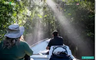 Latinwildexpeditions.com Screenshot 2024-05-18 12:31:29