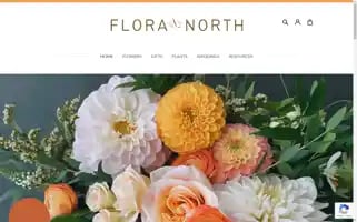 Floranorthmn.com Screenshot 2024-06-11 20:35:37