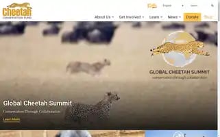 Cheetah.org Screenshot 2024-07-03 19:57:32