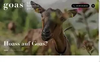 Goaskas.at Screenshot 2024-06-16 19:54:28