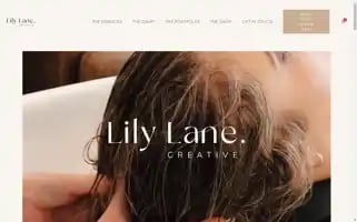 Lilylanecreative.com Screenshot 2024-07-08 04:58:54