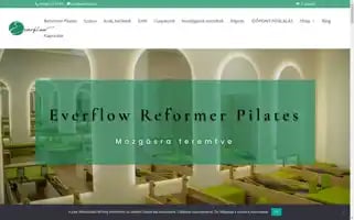 Everflow.hu Screenshot 2024-06-15 22:59:46