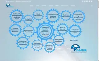 Cariri.com Screenshot 2024-07-02 09:50:17