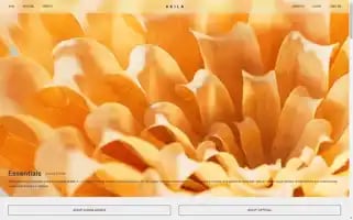 Akila.la Screenshot 2024-05-05 14:20:11