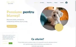 Bejanpetshotel.ro Screenshot 2024-04-17 15:10:01