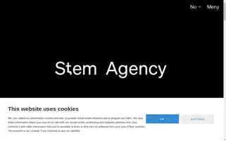 Stem.no Screenshot 2024-07-08 06:40:28