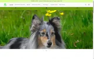 Tontoutou.com Screenshot 2024-04-27 14:48:42