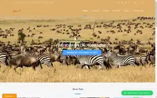 Dancomtours.com Screenshot 2024-04-26 05:34:33