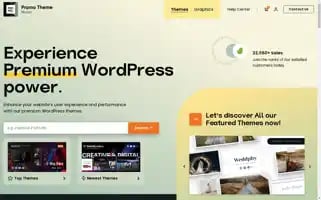 Promo-theme.com Screenshot 2024-06-13 02:26:24