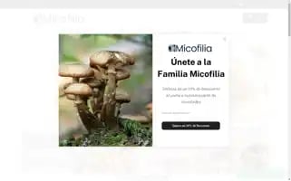 Micofilia.com Screenshot 2024-06-14 12:37:40