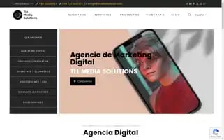 Tllmediasolutions.com Screenshot 2024-06-26 04:57:41