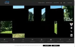 Vivid-trip.com Screenshot 2024-04-17 09:01:45