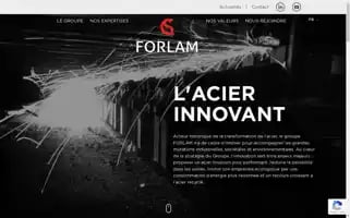 Forlam.fr Screenshot 2024-07-03 06:09:09