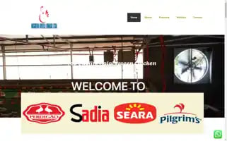 Nogueirarivelliirmaosltda.com Screenshot 2024-05-23 00:41:23