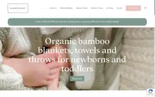 Bamboobabycompany.com Screenshot 2024-04-27 11:18:53