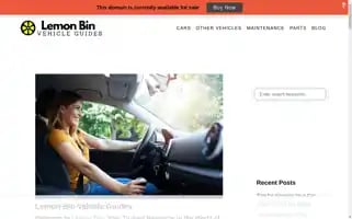 Lemonbin.com Screenshot 2024-05-16 05:36:08