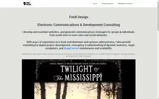 Feidtdesign.com Screenshot 2024-06-12 23:41:42