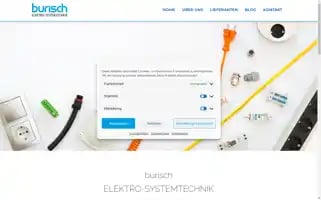 Burisch-wien.com Screenshot 2024-06-30 17:26:24