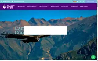 Mallkytours.com Screenshot 2024-04-16 04:06:55