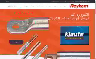 Reykem.com Screenshot 2024-07-08 09:09:56