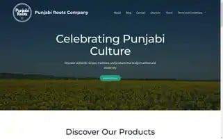 Punjabirootsco.com Screenshot 2024-05-28 23:14:10