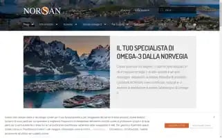 Norsan.it Screenshot 2024-06-16 14:02:43