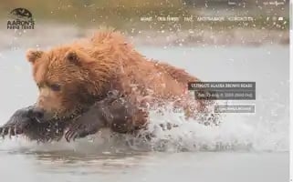 Aaronstours.com Screenshot 2024-04-17 09:01:53