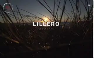 Lillero.dk Screenshot 2024-06-15 06:45:36