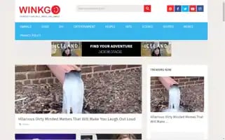 Winkgo.com Screenshot 2024-05-15 04:01:19