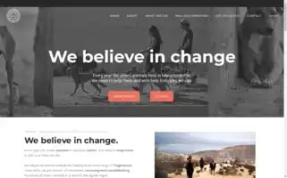 Moroccoanimalaid.com Screenshot 2024-06-12 13:01:31