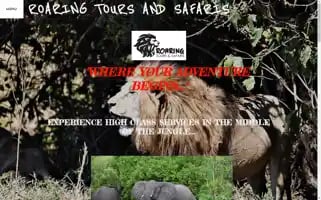 Roaringtoursandsafaris.com Screenshot 2024-04-25 21:31:49