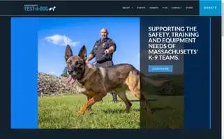 Mavestadog.org Screenshot 2024-07-04 06:29:51