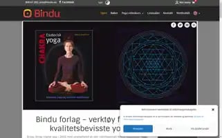 Bindu.no Screenshot 2024-06-14 17:08:24