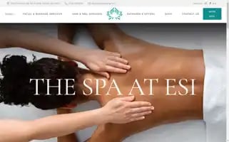 Spaatesi.com Screenshot 2024-07-04 11:31:17