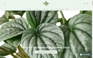 Houseplantexperience.com Screenshot 2024-04-16 16:19:39